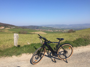 Wine and Ride ©