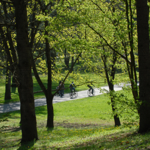Parc de Parilly à Bron © Dominique Perron