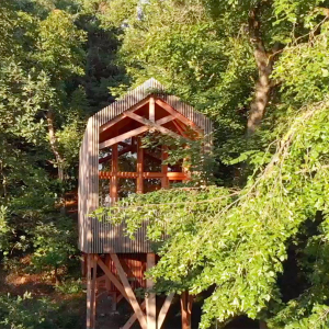 A Caluire, la cabane dans les arbrees de © Lyon Country House