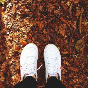 Pixabay