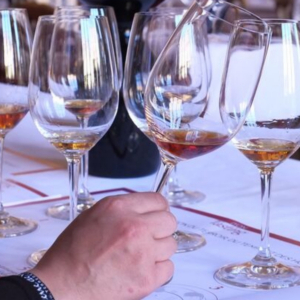 Lyon Tasting