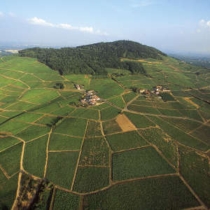 Vue du Mont Brouilly - Beaujolais Vignoble