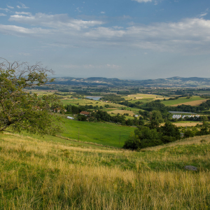 Monts du Lyonnais : Saint-Sorlin, point de vue de la Madone © Mélissa Edo