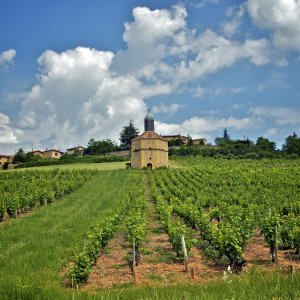 Le Beaujolais © Arnaud Hambert