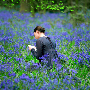 Bright Star de Jane Campion, UK film Council