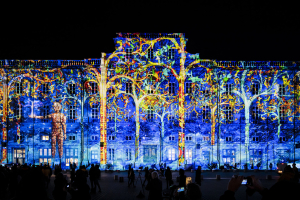 F&ecirc;te des Lumi&egrave;res - Place des Terreaux &copy;www.b-rob.com