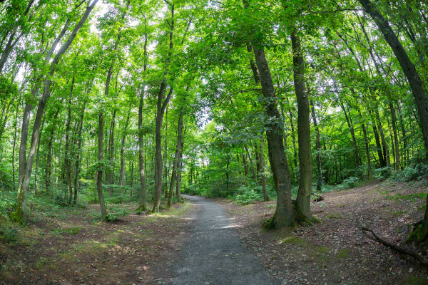 Le Bois de Serres © Laurent Vera - Métropole de Lyon