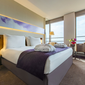 Radisson Blu Hôtel Lyon