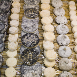 Fromages aux Halles de Lyon Paul Bocuse © Tristan Deschamps
