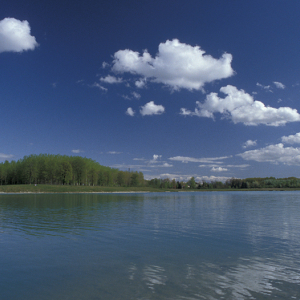 Parc de Miribel Jonage