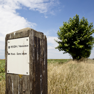 Plateau des grandes terres © www.b-rob.com
