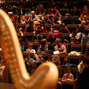 © Auditorium / ONL