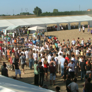 Fête de la Pomme de Terre