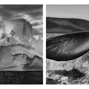 Genesis © Sebastião Salgado