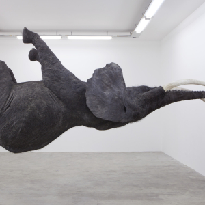 Art Contemporain © Daniel Firman, Nasutamanus Biennale Art Contemporain 2012
