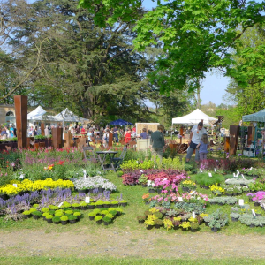 Foire aux plantes rares - Genay 2018